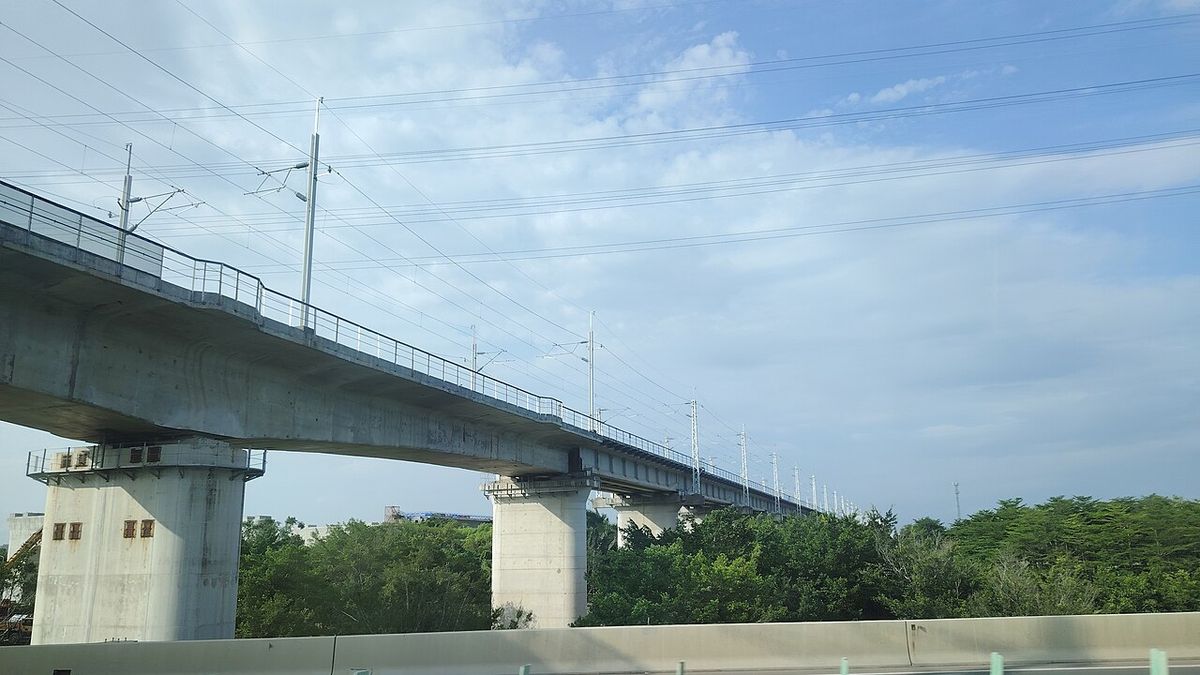 Elevated section of the Nansha Port Railway on concrete piers in Guangzhou's Nansha district